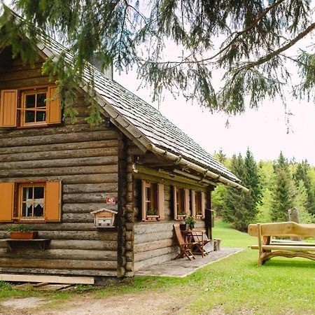 Вілла Wood House Irena-Pocitniska Hisa Бохінь Екстер'єр фото