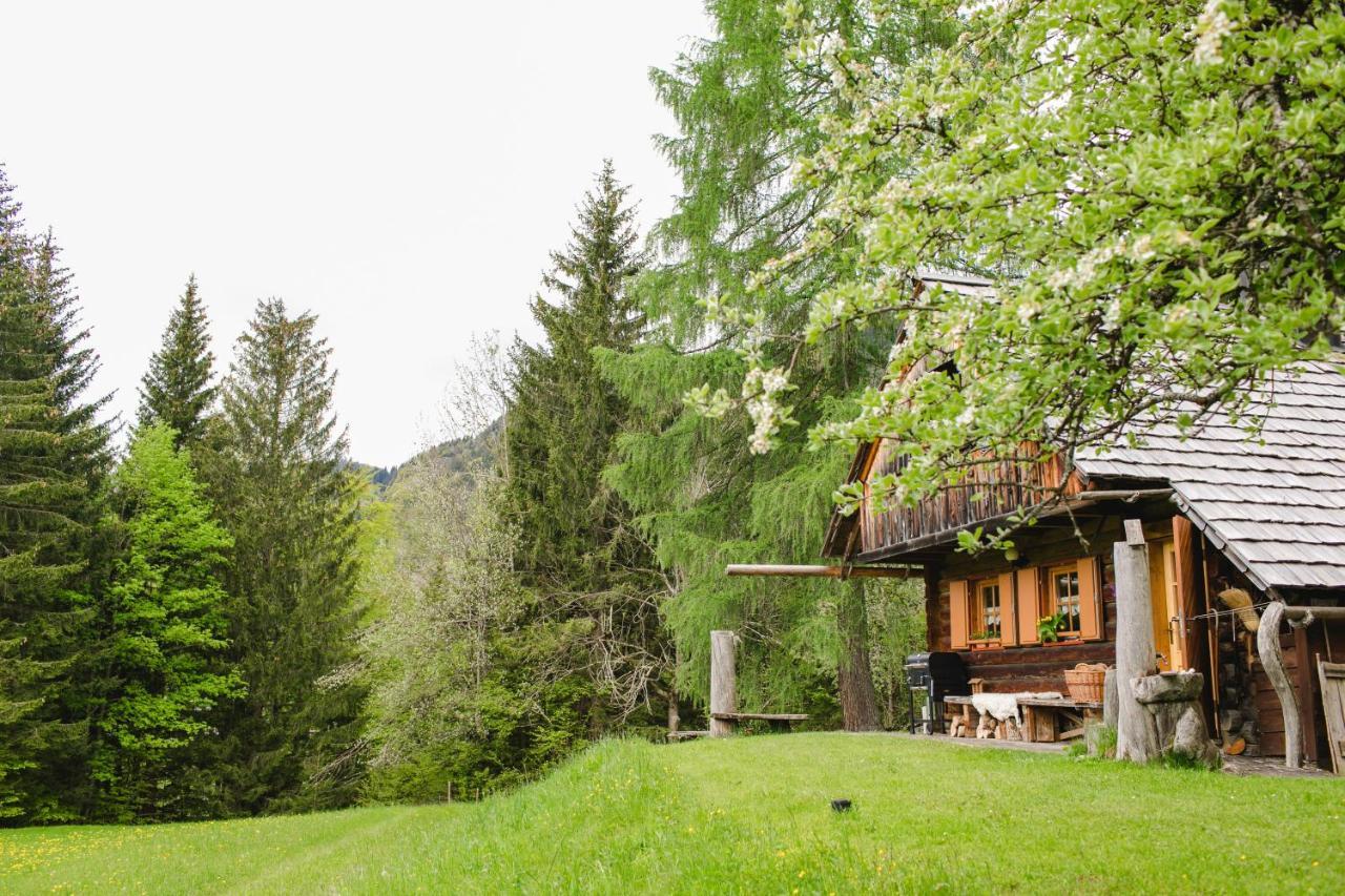 Вілла Wood House Irena-Pocitniska Hisa Бохінь Екстер'єр фото
